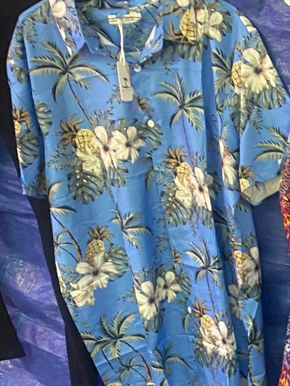 Amazon Blue Hawaiian Floral Pineapple Button-Down Shirt
